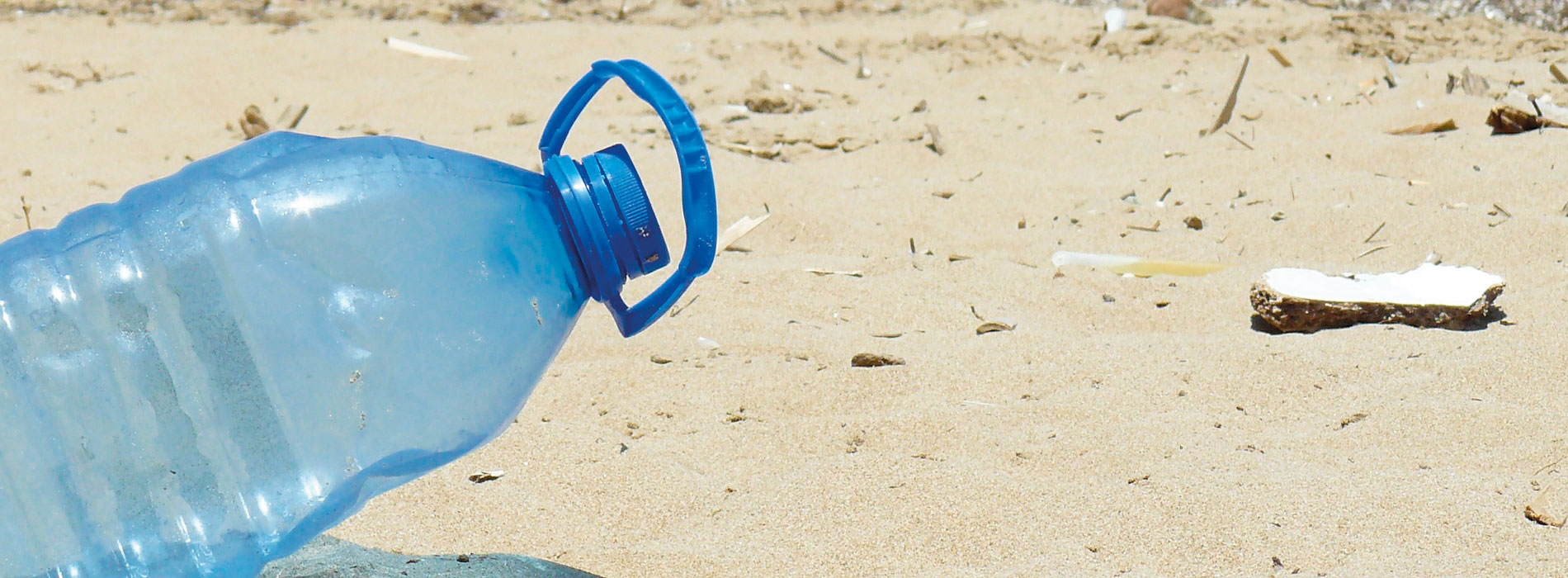 Plastik: eine ernsthafte Bedrohung für das Meer