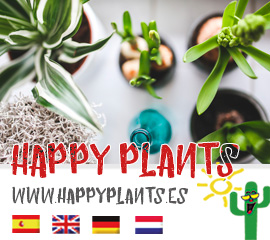 HAPPY PLANTS